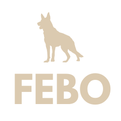 FEBO