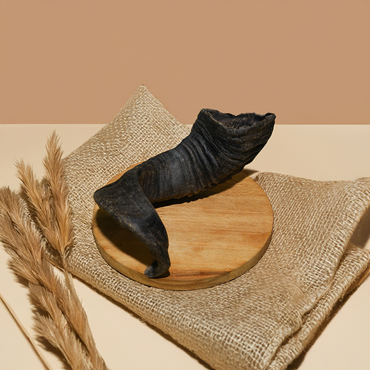 Kurutulmuş Kuzu Boynuz Adet