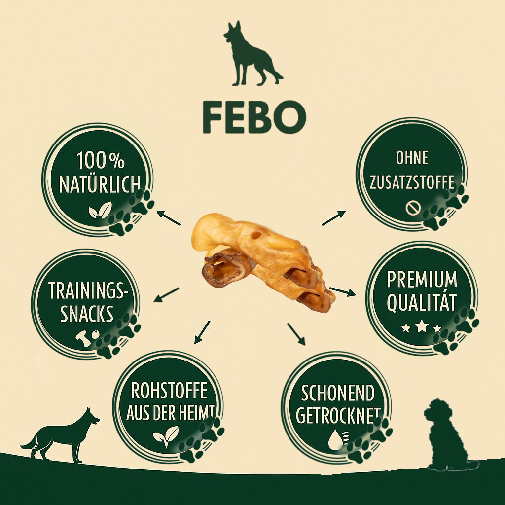 Kurutulmuş Dana Kulak Naturel 100 gr